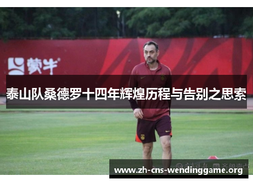 泰山队桑德罗十四年辉煌历程与告别之思索 泰山队桑德罗十四年辉煌历程与告别之思索