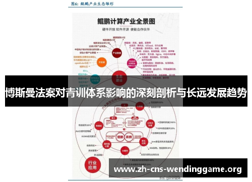 博斯曼法案对青训体系影响的深刻剖析与长远发展趋势 博斯曼法案对青训体系影响的深刻剖析与长远发展趋势