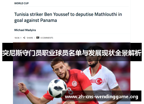 突尼斯守门员职业球员名单与发展现状全景解析 突尼斯守门员职业球员名单与发展现状全景解析