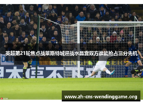 英超第21轮焦点战莱斯特城迎战水晶宫双方谁能抢占三分先机 英超第21轮焦点战莱斯特城迎战水晶宫双方谁能抢占三分先机