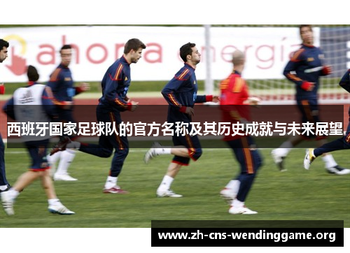 西班牙国家足球队的官方名称及其历史成就与未来展望 西班牙国家足球队的官方名称及其历史成就与未来展望