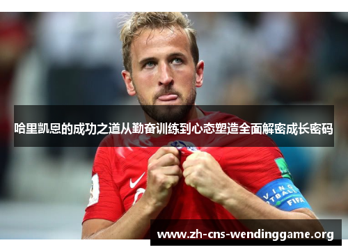 哈里凯恩的成功之道从勤奋训练到心态塑造全面解密成长密码 哈里凯恩的成功之道从勤奋训练到心态塑造全面解密成长密码