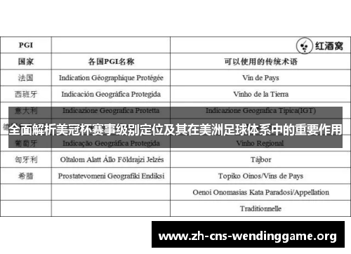 全面解析美冠杯赛事级别定位及其在美洲足球体系中的重要作用 全面解析美冠杯赛事级别定位及其在美洲足球体系中的重要作用