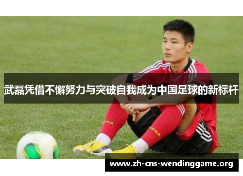 武磊凭借不懈努力与突破自我成为中国足球的新标杆 武磊凭借不懈努力与突破自我成为中国足球的新标杆